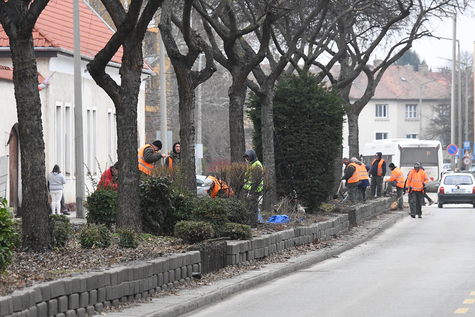 Gondosan összeválogatott évelő növényeket ültetnek a Rákóczi úti fasor alá